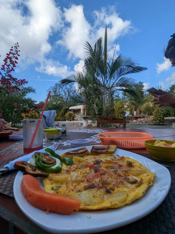 Auberge de jeunesse Rancho Tranquillo à Moyogalpa Extérieur photo