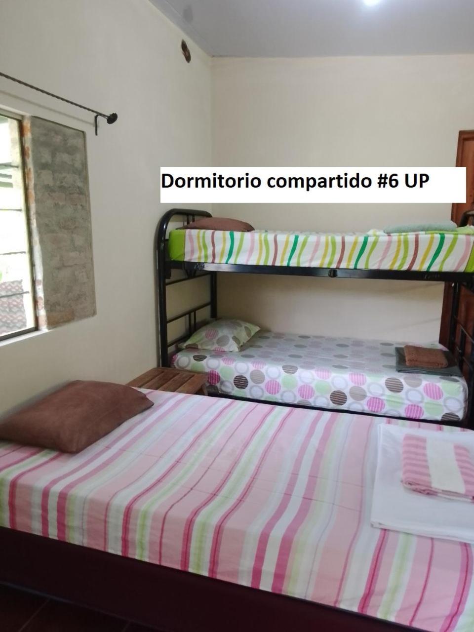 Auberge de jeunesse Rancho Tranquillo à Moyogalpa Chambre photo