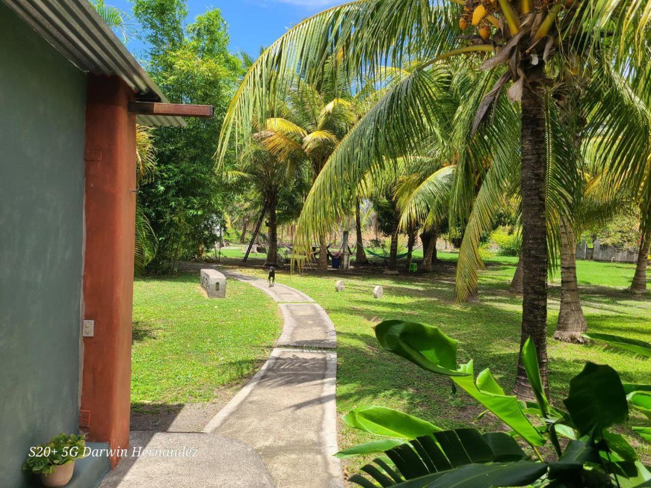 Auberge de jeunesse Rancho Tranquillo à Moyogalpa Extérieur photo