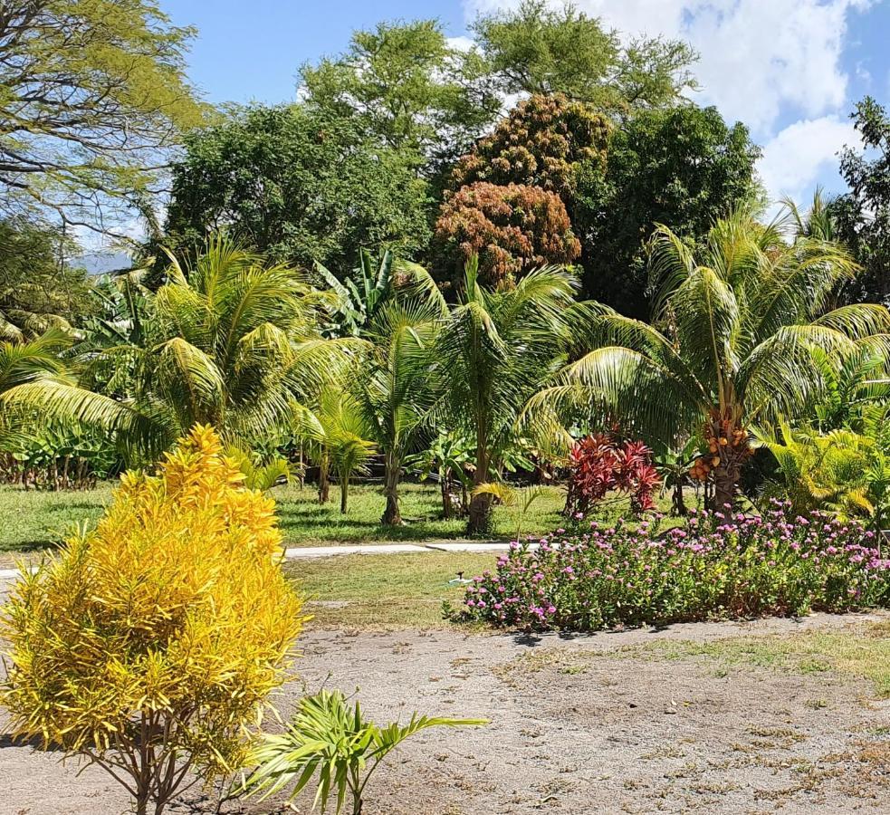 Auberge de jeunesse Rancho Tranquillo à Moyogalpa Extérieur photo